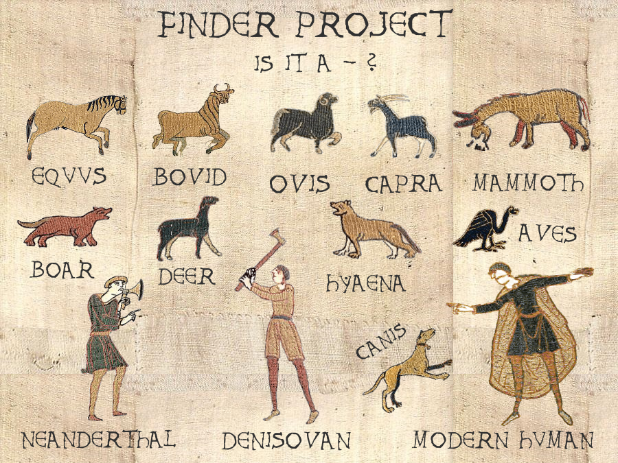 Finder Project Goes Bayeux